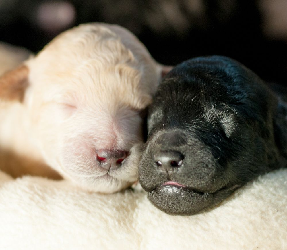 Welcome to the World